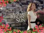 Wallpaper do Filme Sob o Sol da Toscana (Under the Tuscan Sun) n.01